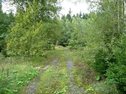 Foto 150